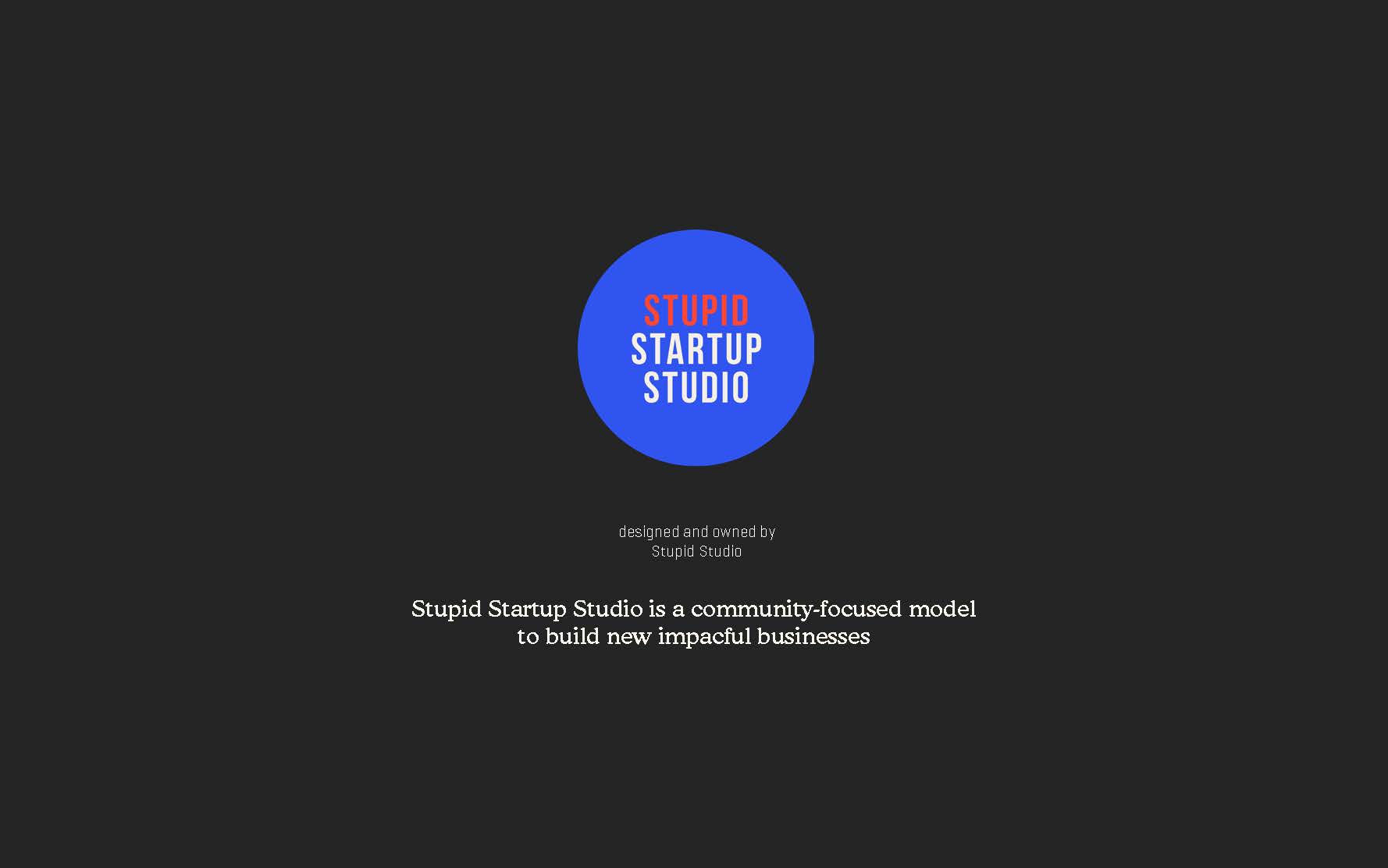 Stupid Startup Studio introduction